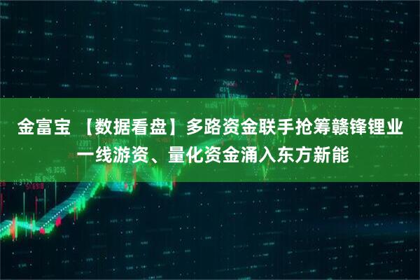 金富宝 【数据看盘】多路资金联手抢筹赣锋锂业 一线游资、量化资金涌入东方新能